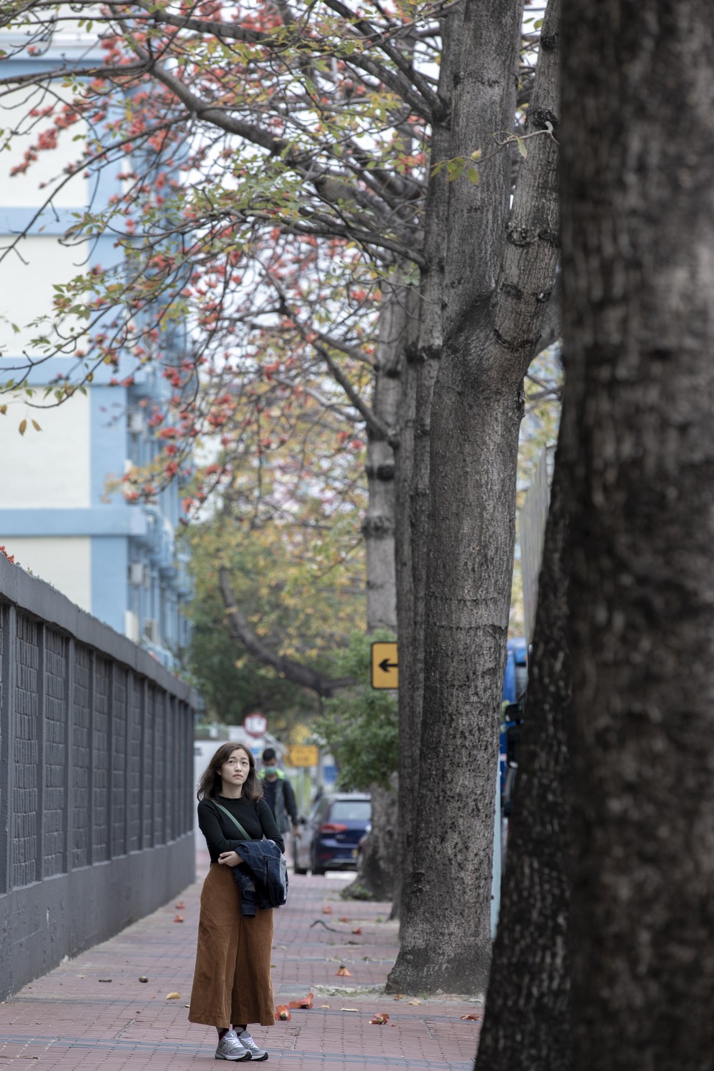 【賞花好去處】2020年4個人氣賞花地！