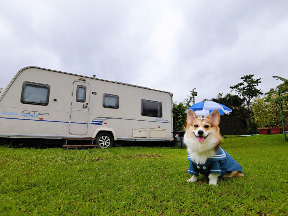 貝澳 露營車