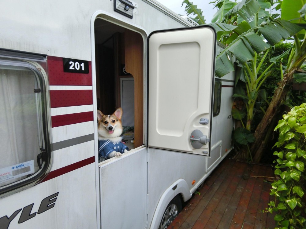 貝澳 露營車