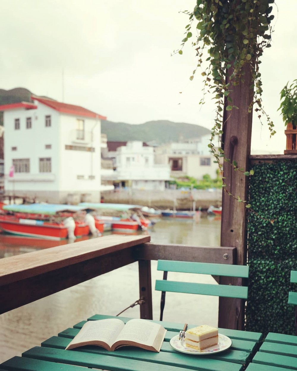 Facebook@大澳榕樹頭