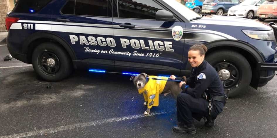 Kristi Kesler成為Eddie嘅寄養人，佢為Eddie諗好一個「遺願清單」，其中包括成為一隻警犬。