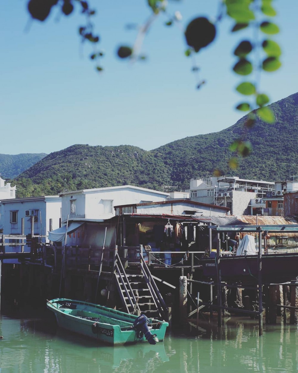 Facebook@大澳榕樹頭