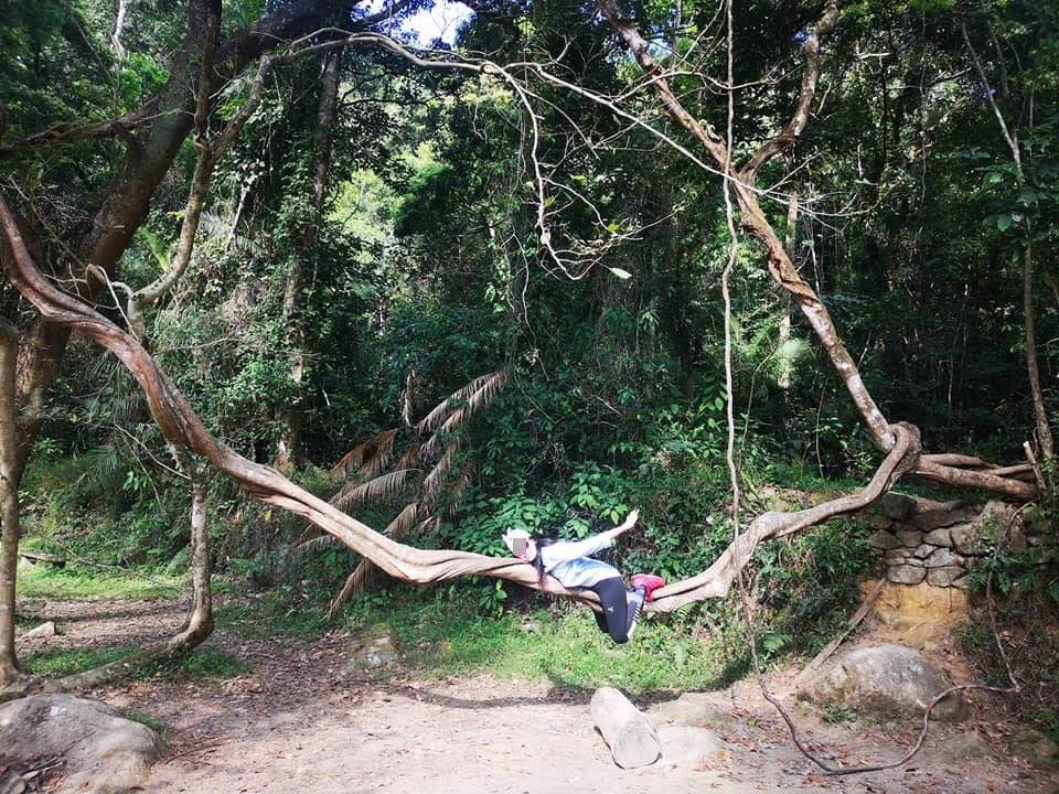 91076853_2643004852641727_5964805522182897664_n