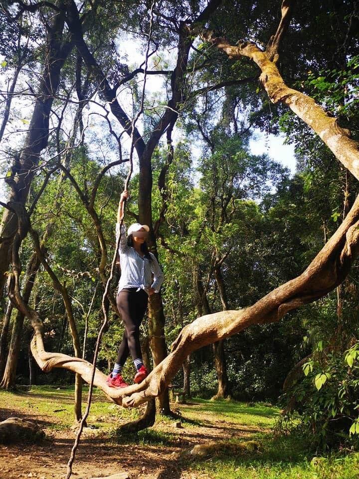 91153092_2643004592641753_6428659430350389248_n