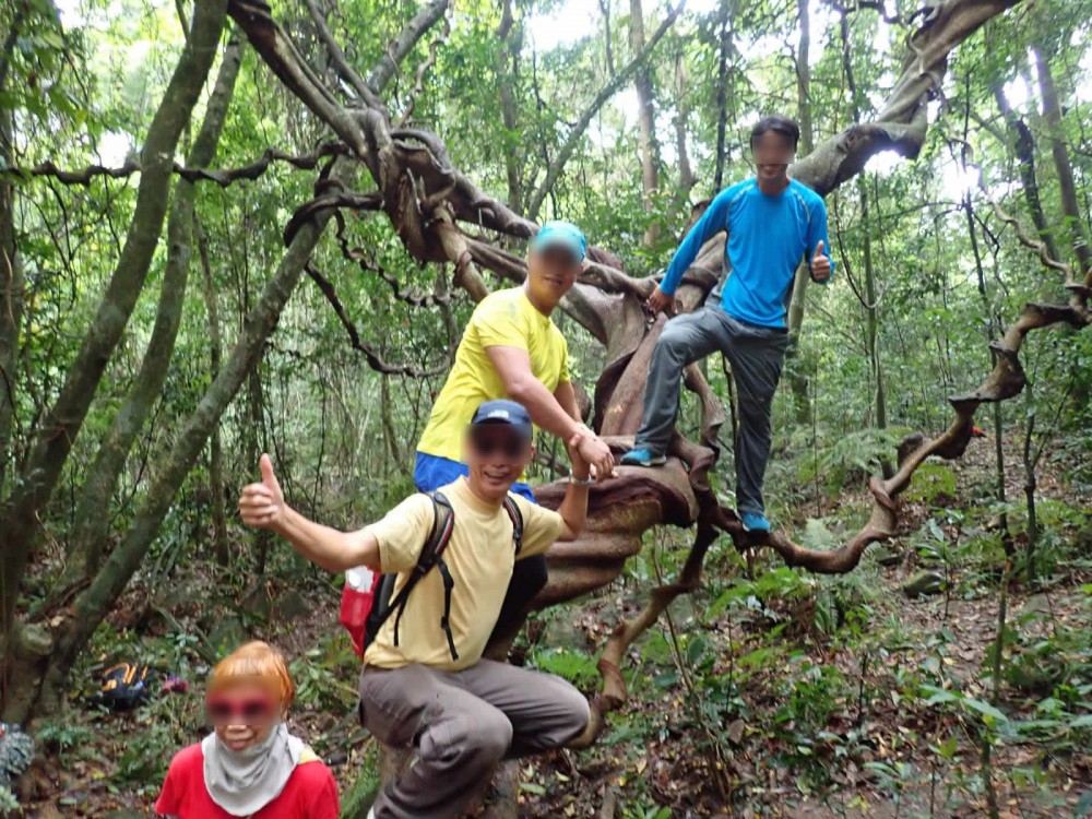 91221230_2644842519124627_1160446119805714432_o