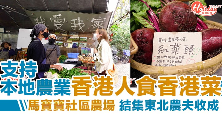 支持本地農業！馬寶寶社區農場結集各區農夫收成，鼓勵香港人食香港菜～