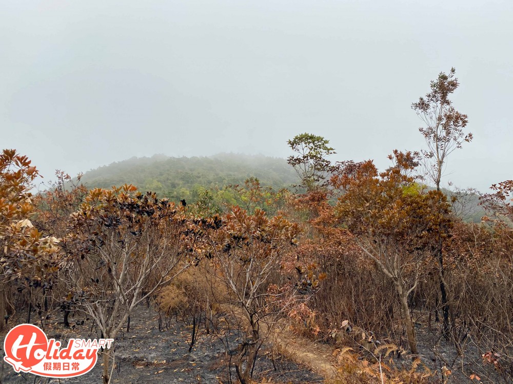 【馬鞍山山火】直擊馬鞍山山火後情況！