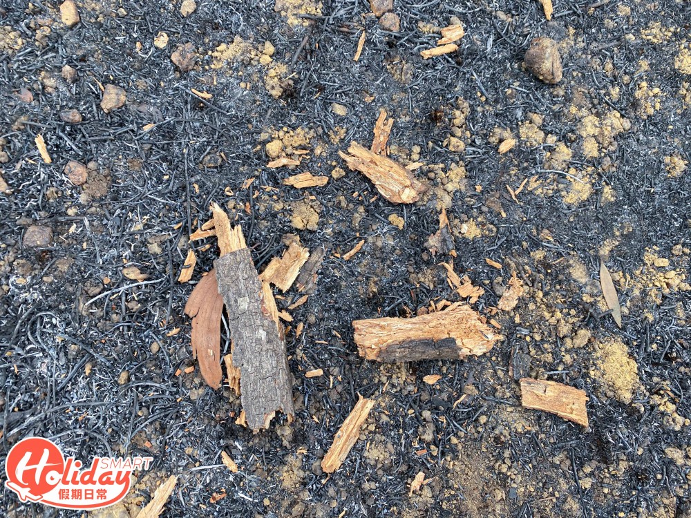 【馬鞍山山火】直擊馬鞍山山火後情況！