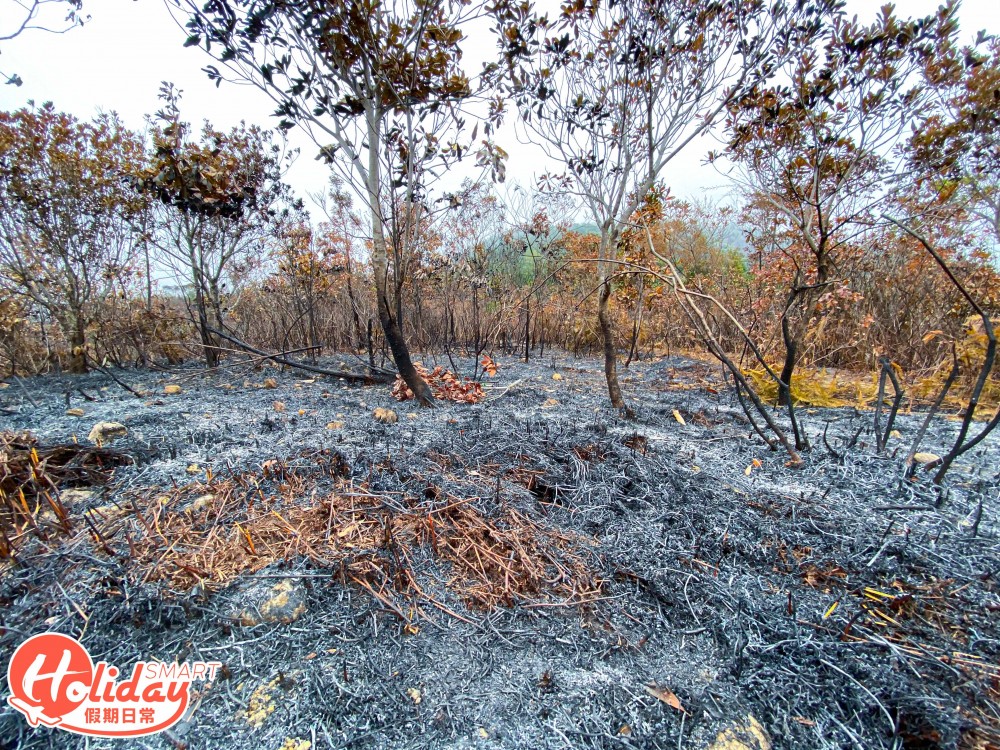 【馬鞍山山火】直擊馬鞍山山火後情況！