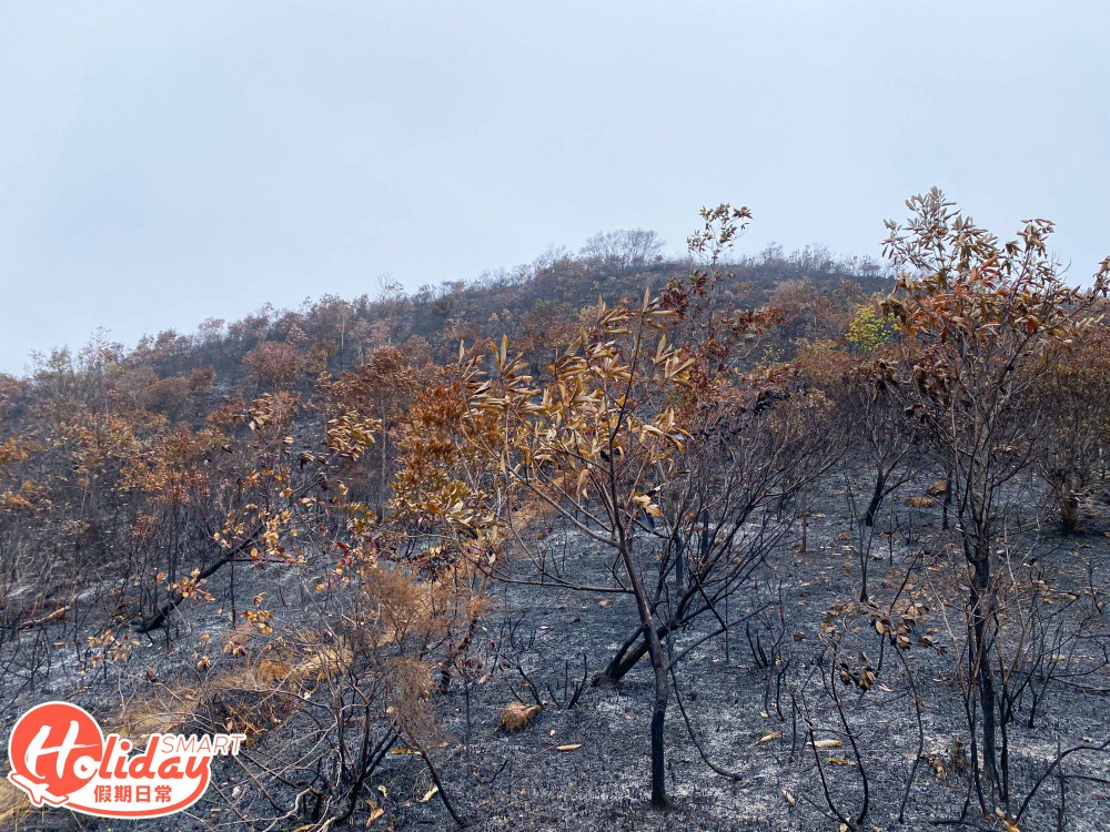【馬鞍山山火】直擊馬鞍山山火後情況！