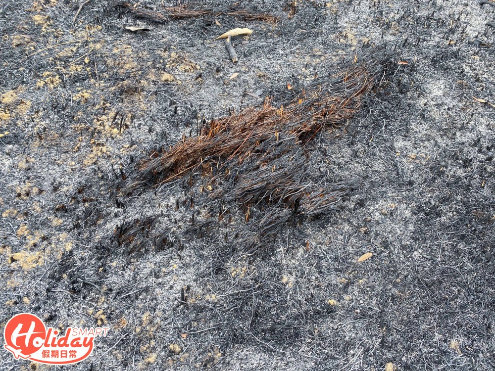 【馬鞍山山火】直擊馬鞍山山火後情況！