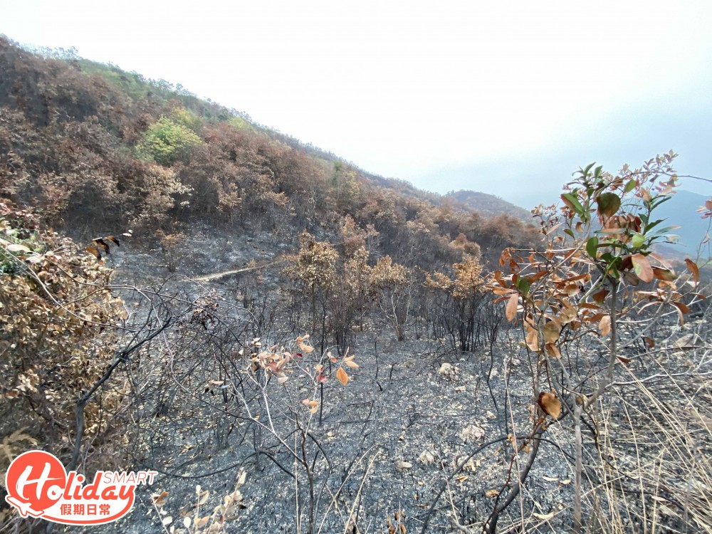 【馬鞍山山火】直擊馬鞍山山火後情況！