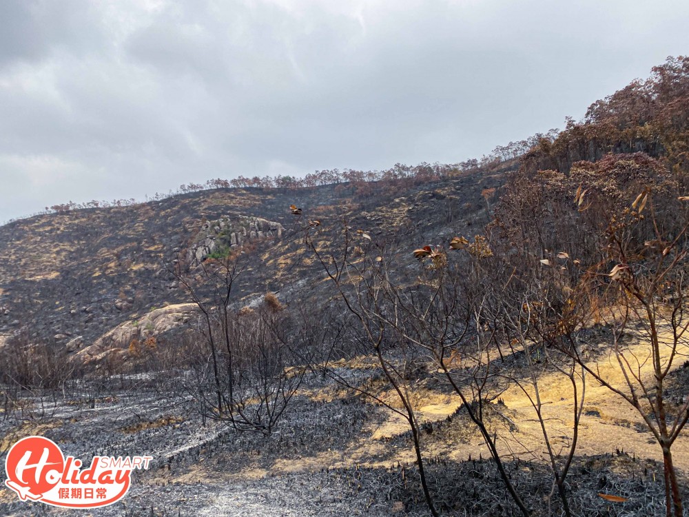 【馬鞍山山火】直擊馬鞍山山火後情況！