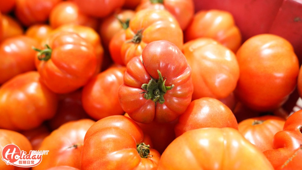 馬寶寶社區農場 