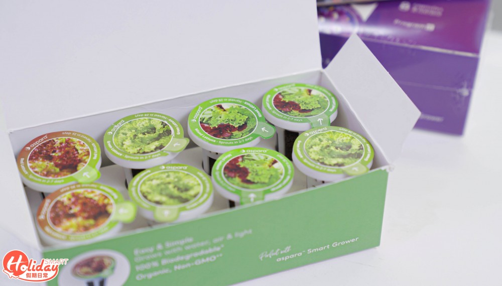 安坐家中種20款蔬果！新手都種到 