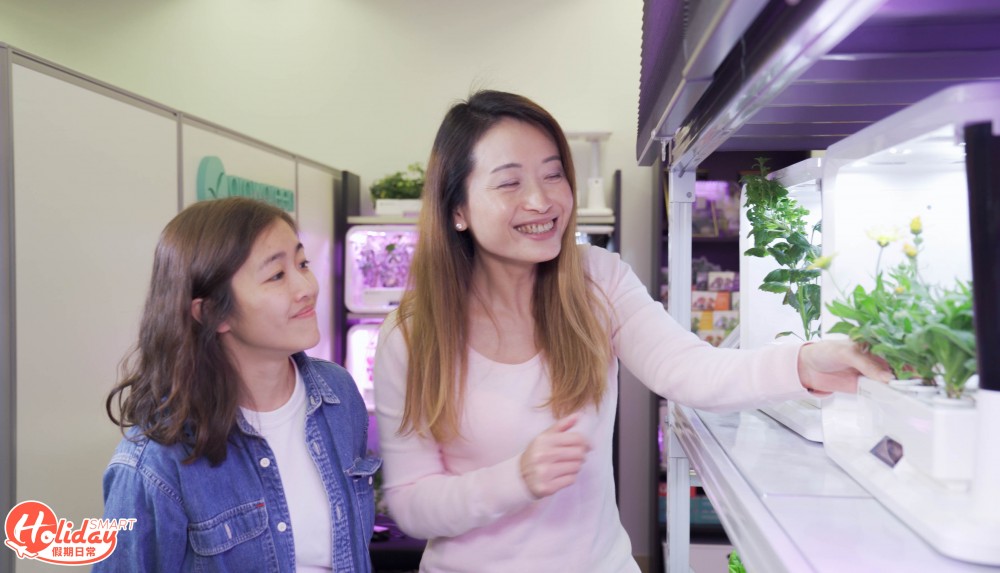 安坐家中種20款蔬果！新手都種到 