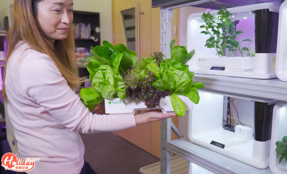 安坐家中種20款蔬果！新手都種到 