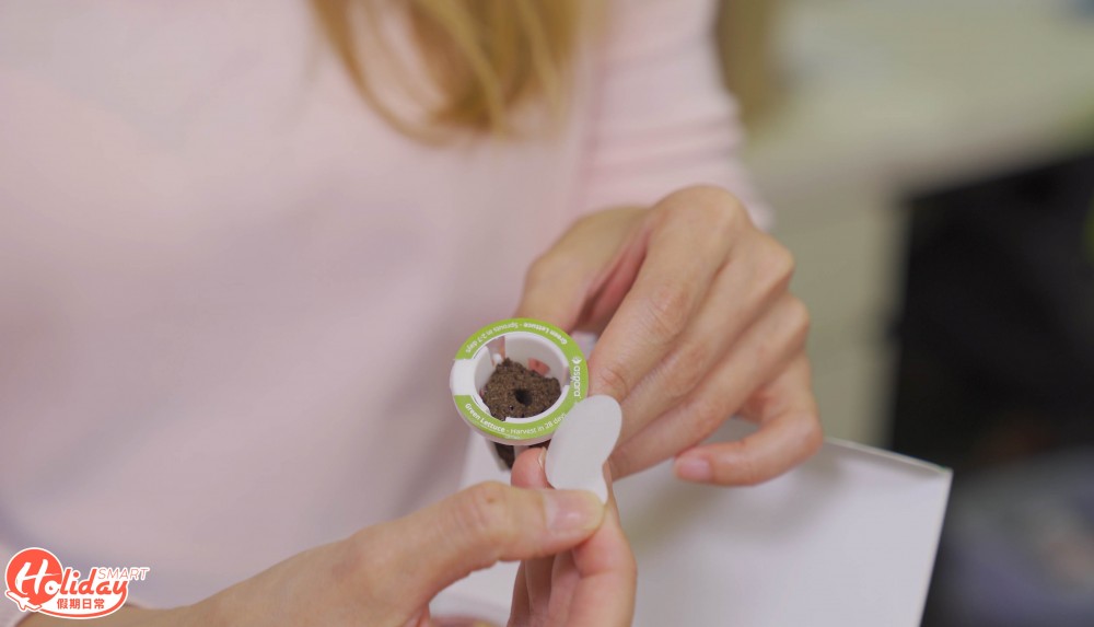 安坐家中種20款蔬果！新手都種到 