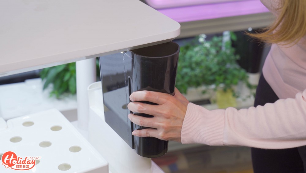 安坐家中種20款蔬果！新手都種到 