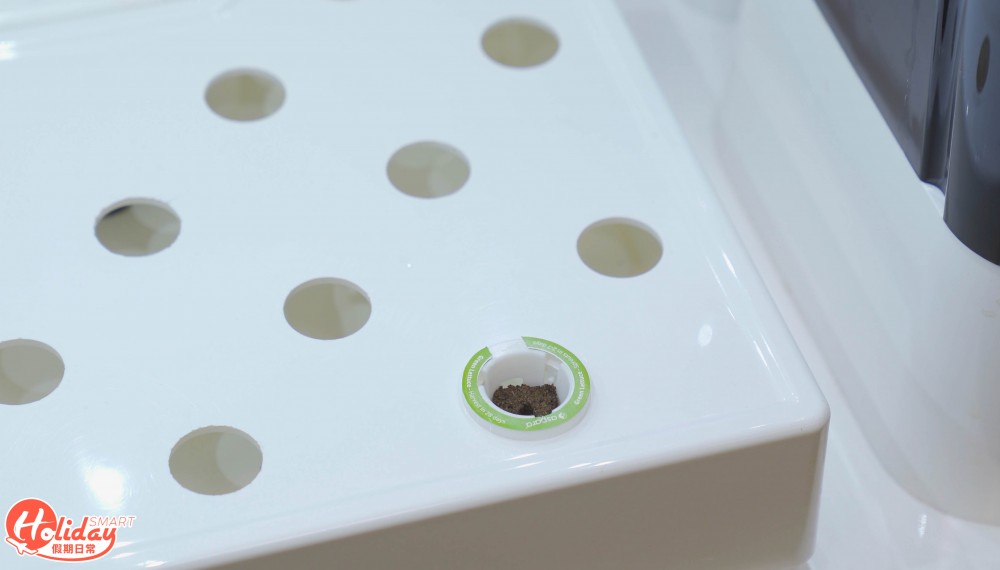 安坐家中種20款蔬果！新手都種到 