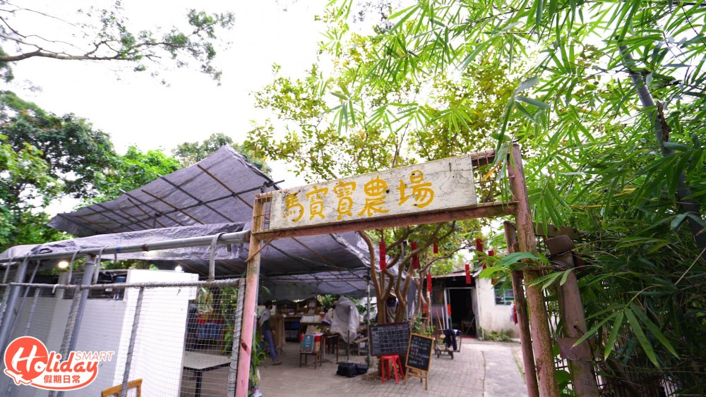 馬寶寶社區農場 