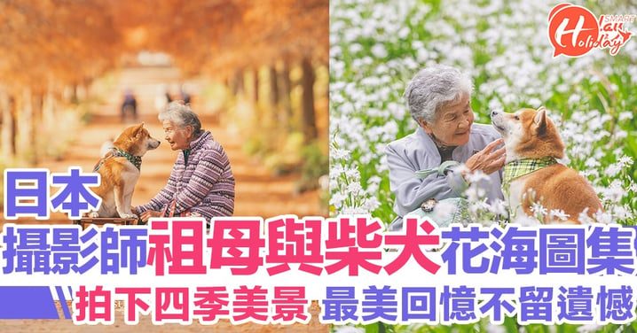 【花海圖集】日本攝影師拍下四季美景 記錄祖母與柴犬溫馨點滴