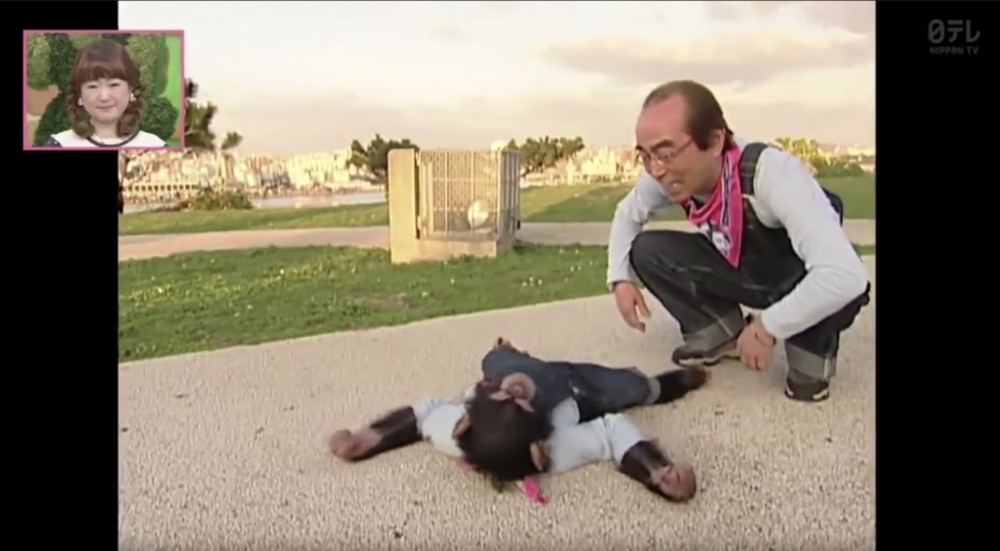 螢幕快照 2020-04-09 下午5.11.34拷貝