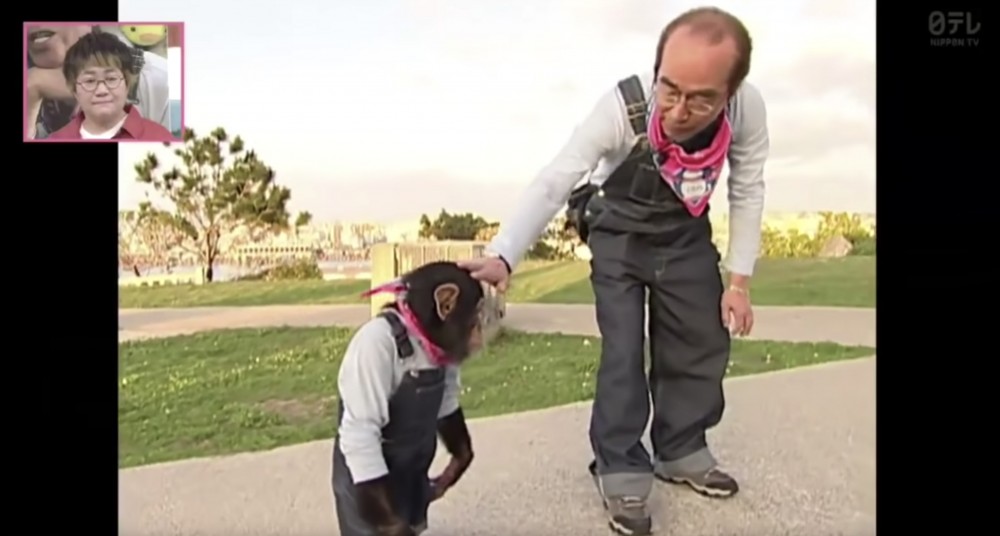 天才!志村動物園