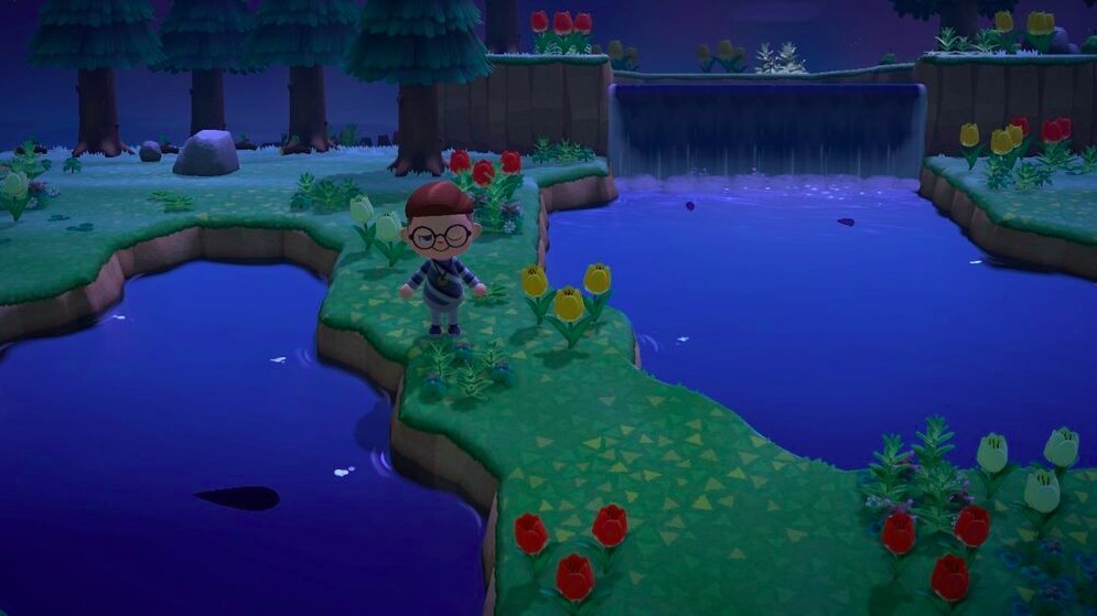 北半球鱘魚嘅出現時間為1月～3月、9月～12月，南半球為3月～9月。