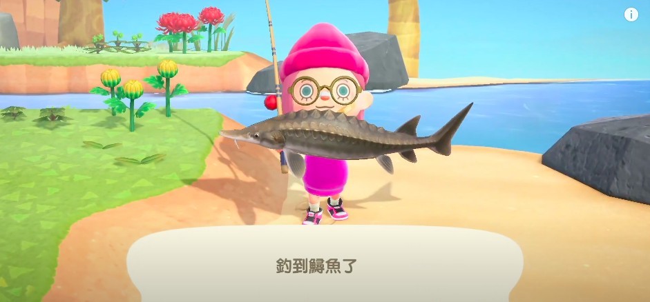 見到入海口有大魚身影，嗰條就係鱘魚喇！