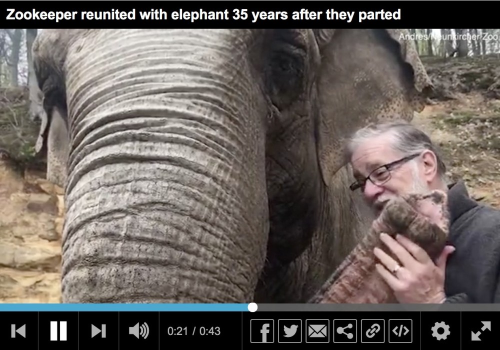 Daily Mail