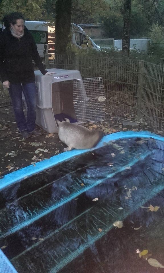 根據官網介紹,動物園約有700隻動物,受疫情影響,動物園已於3月15關閉至今。