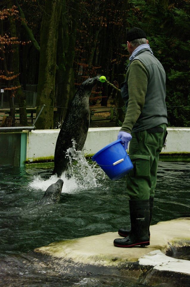 佢估計動物園今年春天將虧損約17.5萬歐元(約港幣$147萬),園內海豹、企鵝等動物每日都需要餵飼大量鮮魚,動物園嘅鮮魚庫存已所剩無幾。
