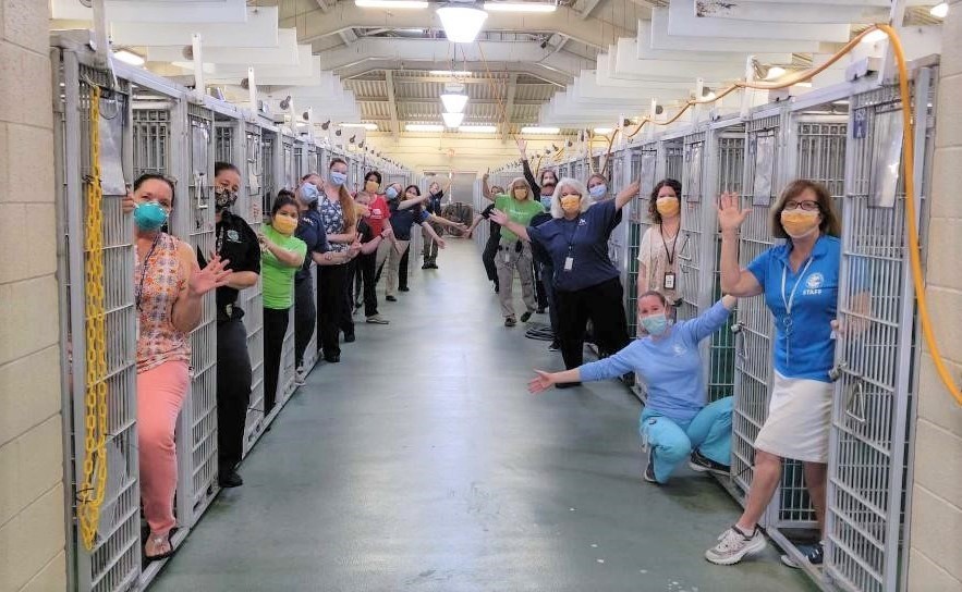 Facebook@Friends of Palm Beach County Animal Care and Control