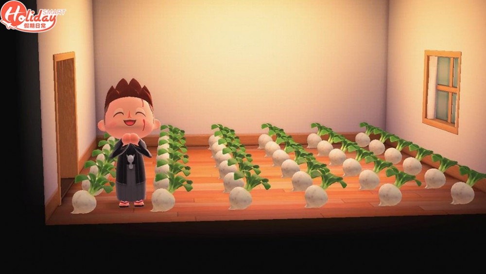 但要賣大頭菜,最遲最遲要喺星期六商店閂門之前賣出,如果唔係,大頭菜就會爛㗎啦!