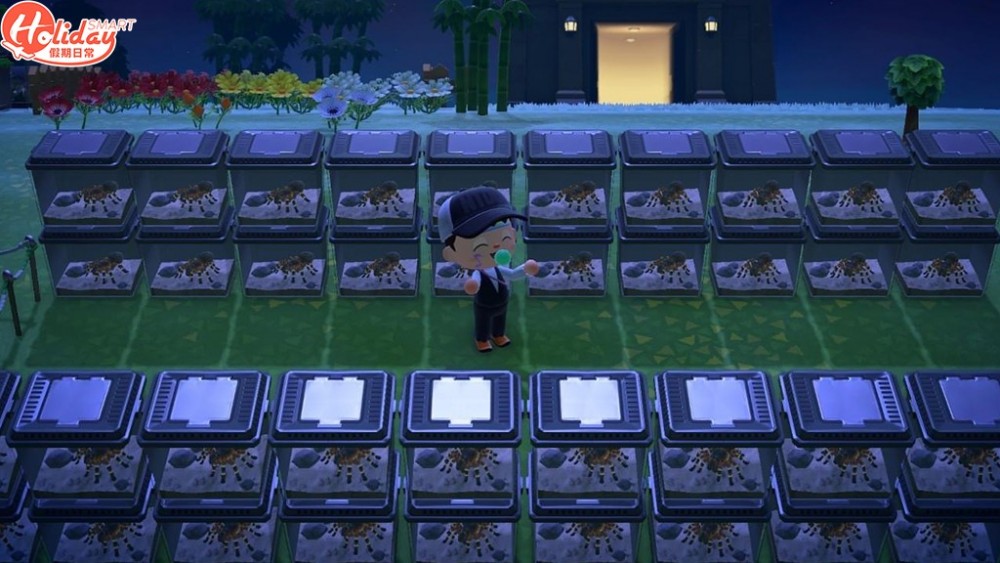 狼蛛好有攻擊性，小編教大家幾個方法可以避免被咬～