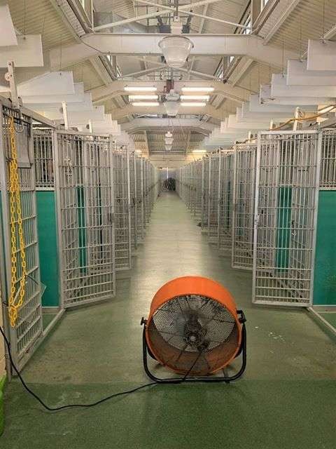 Facebook@Friends of Palm Beach County Animal Care and Control