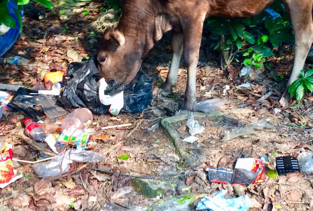復活節 塔門 大埔