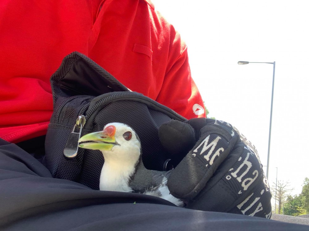 復活節 塔門 大埔