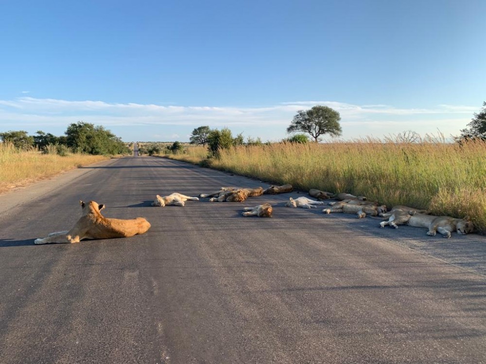 Kruger National Park