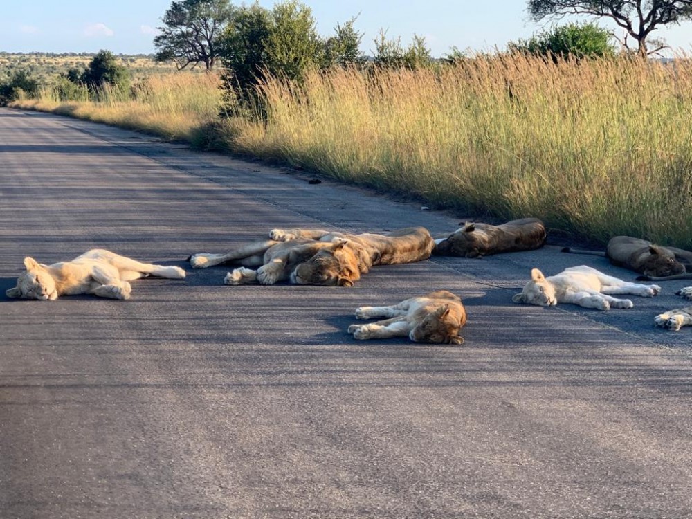 Kruger National Park