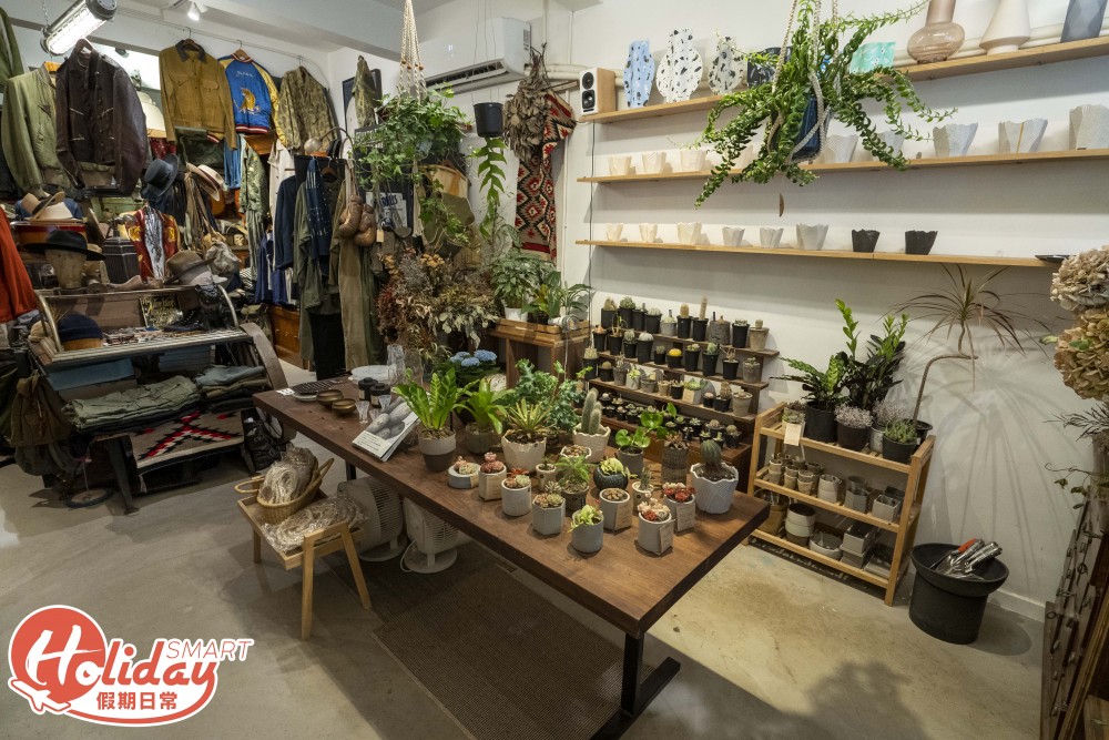 旺角 多肉植物店