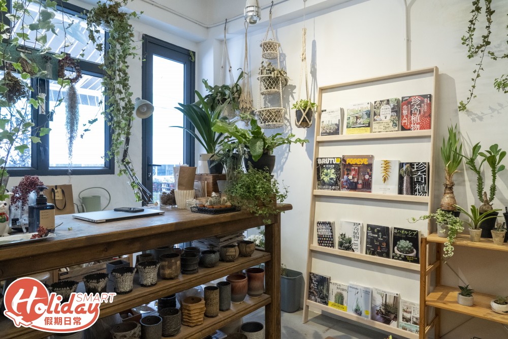 旺角 多肉植物店