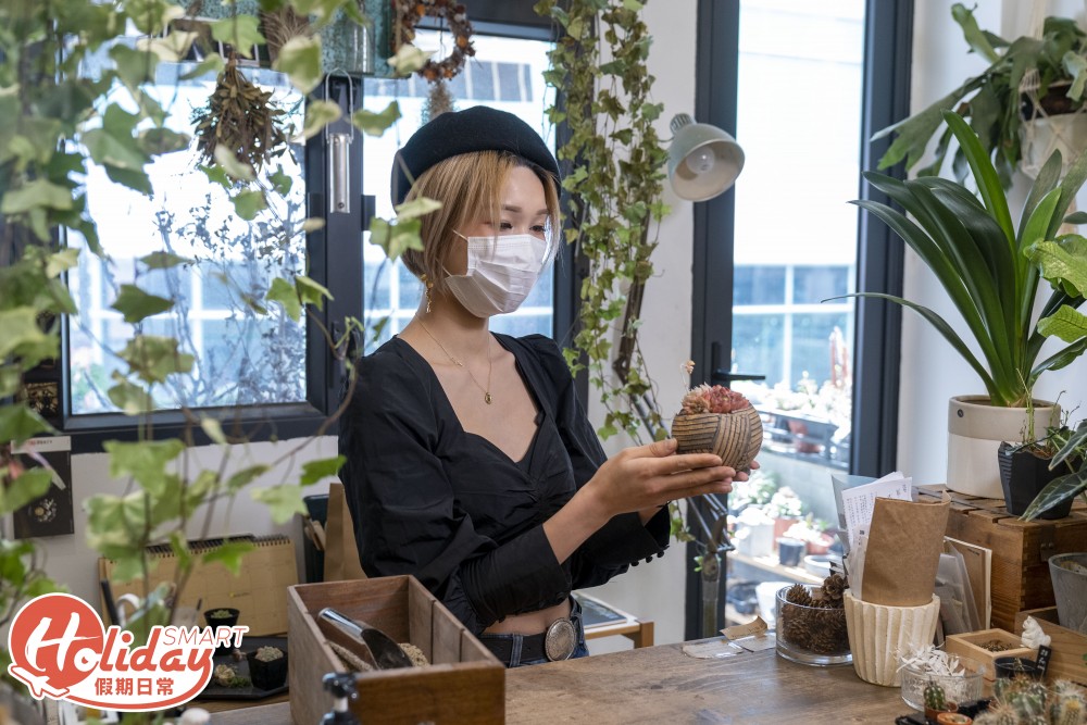 旺角 多肉植物店