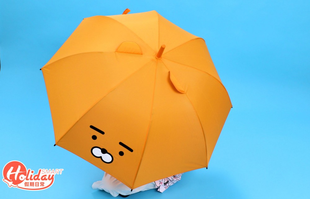 KAKAO FRIENDS Ryan Catalog