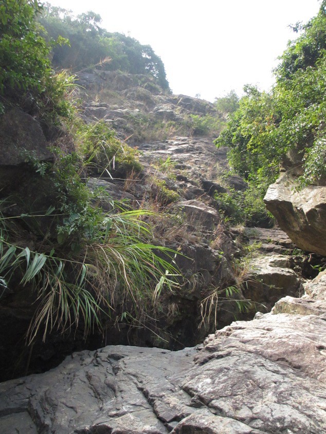 漁護署@郊野樂行