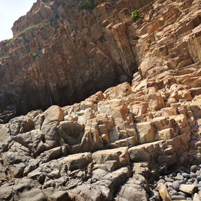 漁護署@郊野樂行