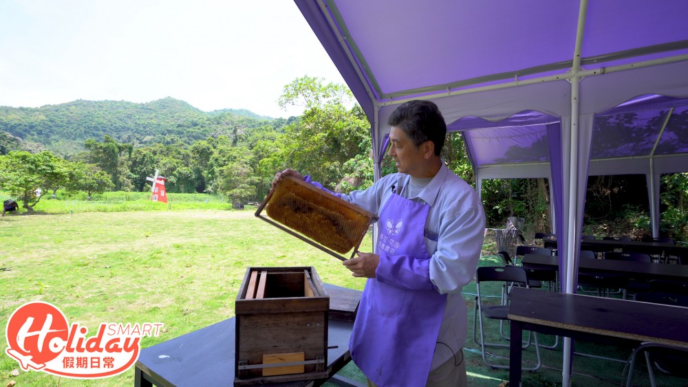 大埔 甜蜜蜂園