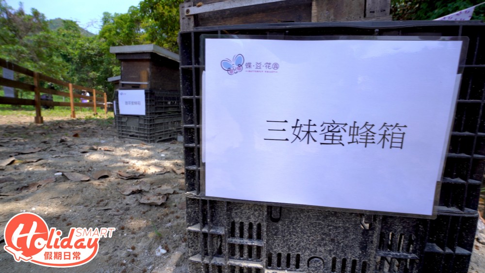大埔 甜蜜蜂園