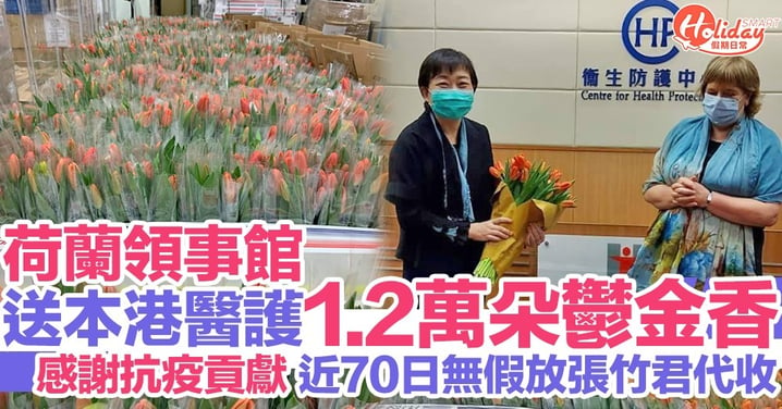 荷蘭總領事館向本港醫護贈送1.2萬朵鬱金香 感謝為抗疫作出貢獻